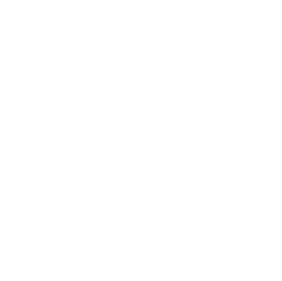 compass logo symbol white